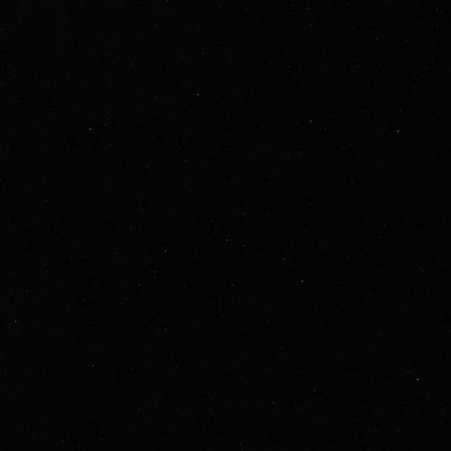 305 extreme night black